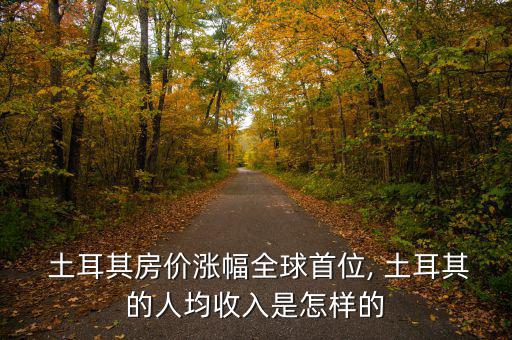  土耳其房價(jià)漲幅全球首位, 土耳其的人均收入是怎樣的