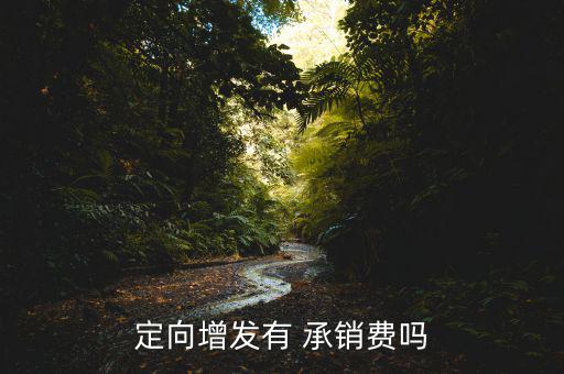 承銷(xiāo)費(fèi)怎么算,證券發(fā)行人向證券經(jīng)營(yíng)機(jī)構(gòu)支付的費(fèi)用為承銷(xiāo)費(fèi)