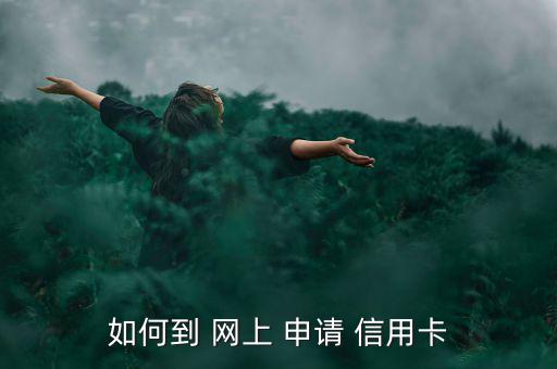 如何到 網(wǎng)上 申請(qǐng) 信用卡