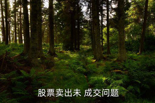 股票未成交怎么辦,網(wǎng)上賣股票今天沒(méi)有成交明天會(huì)有嗎?