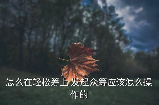 微博眾籌怎么發(fā)起,水滴籌快速響應工具簡潔易用