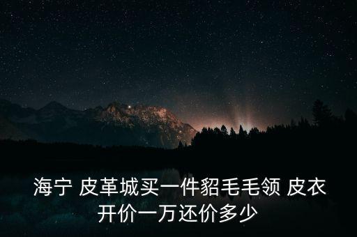  海寧 皮革城買(mǎi)一件貂毛毛領(lǐng) 皮衣開(kāi)價(jià)一萬(wàn)還價(jià)多少