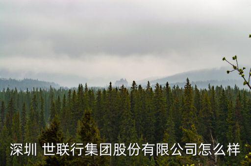 深圳 世聯行集團股份有限公司怎么樣