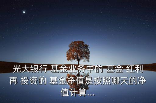 光大銀行 基金業(yè)務中的 基金 紅利再 投資的 基金凈值是按照哪天的凈值計算...