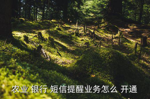 農(nóng)行短信銀行怎么開(kāi)通,銀行card短信業(yè)務(wù)提醒開(kāi)通三步驟!