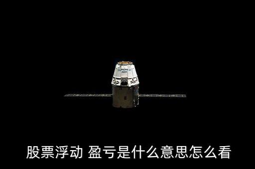 股票怎么看盈虧,持倉盈虧每日更新可查看個(gè)股盈虧