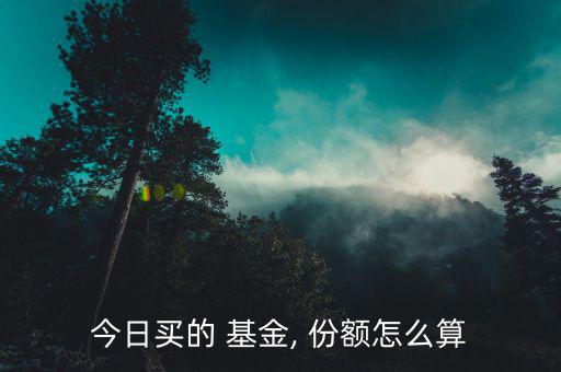 基金怎么算份額,先認份額后計算收益前端收費:1.0%%%