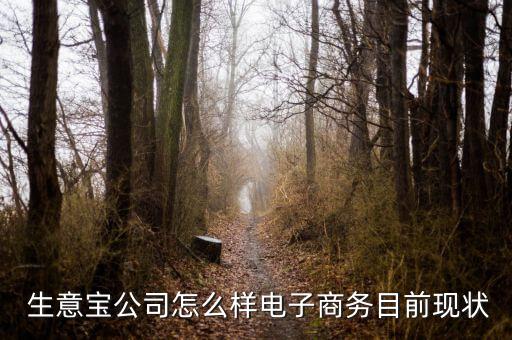 生意寶怎么用,電子秤生意寶公司生意包把公斤調成數(shù)斤