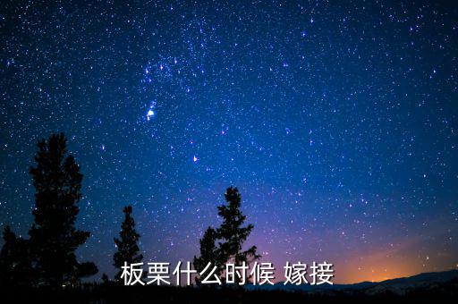板栗什么時(shí)候 嫁接