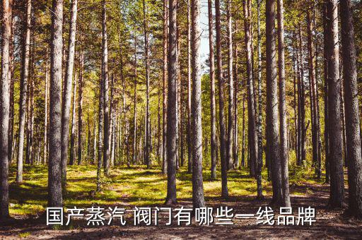 珠州南方閥門怎么樣,中國(guó)十大閥門廠商:1、高覽閥門
