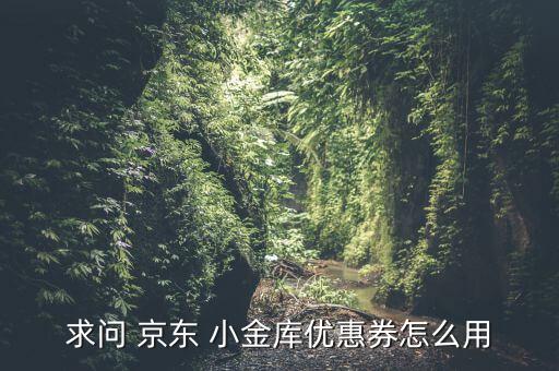 求問 京東 小金庫(kù)優(yōu)惠券怎么用
