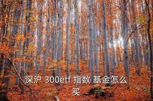 深滬 300etf 指數(shù) 基金怎么買(mǎi)