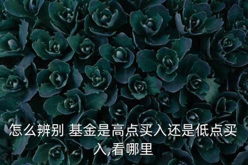 怎么辨別 基金是高點(diǎn)買(mǎi)入還是低點(diǎn)買(mǎi)入,看哪里