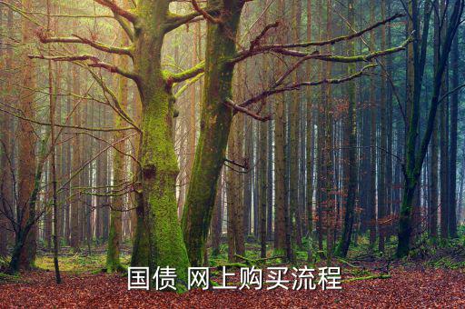 網上怎么買國債,國債知多少?問與答（13）