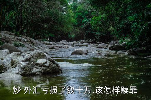 炒 外匯虧損了數十萬,該怎樣贖罪