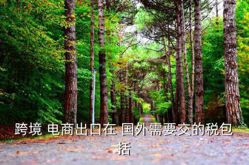 國外對(duì)電商怎么征稅,我國將從今天起開始征收消費(fèi)稅和進(jìn)口稅
