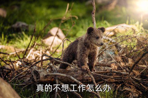 本來(lái)生活工作怎么樣,如果你不上班明天沒飯吃?請(qǐng)聽我心聲