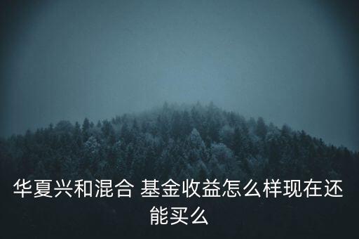 華夏興和混合 基金收益怎么樣現(xiàn)在還能買(mǎi)么