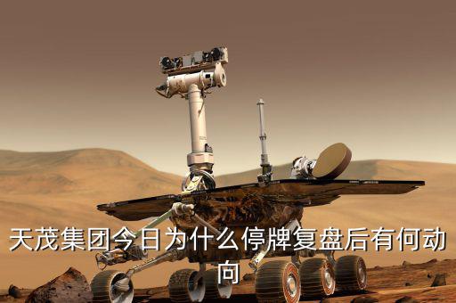 天茂集團什么時候開盤，天茂集團今日為什么停牌復(fù)盤后有何動向