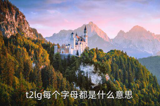 opec每個字母是什么意思，t2lg每個字母都是什么意思