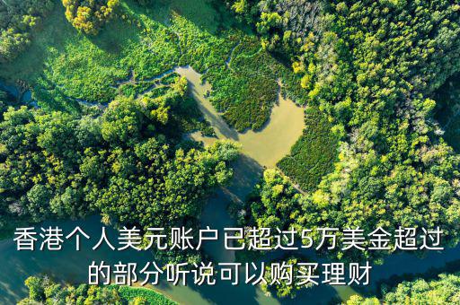 美元在香港投資什么比較好，香港個人美元賬戶已超過5萬美金超過的部分聽說可以購買理財
