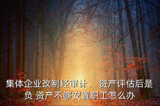 集體企業(yè)改制經(jīng)審計、 資產(chǎn)評估后是負(fù) 資產(chǎn)不夠安置職工怎么辦