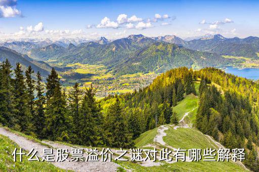 股票溢價是什么意思，什么是股票溢價之謎對此有哪些解釋