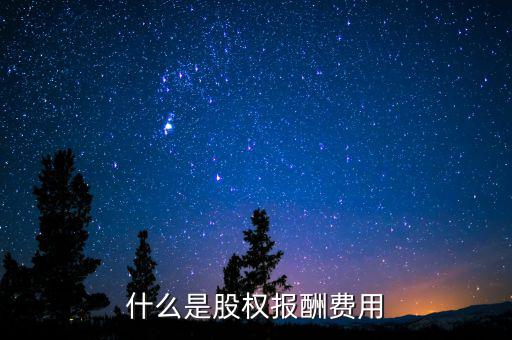 什么是股權(quán)報酬費(fèi)用