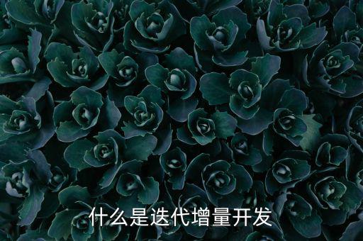 什么是增量發(fā)展，物理意義上的增量是什么意思
