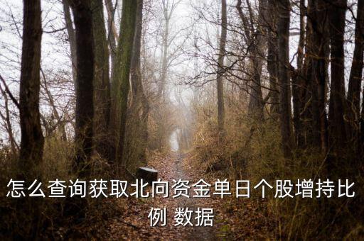 怎么查詢獲取北向資金單日個(gè)股增持比例 數(shù)據(jù)
