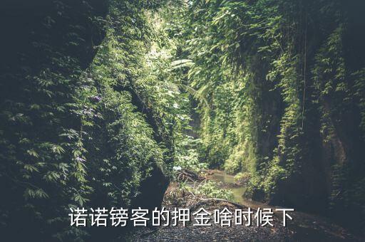 諾諾鎊客里的收本金額是什么，諾諾鎊客的押金啥時(shí)候下