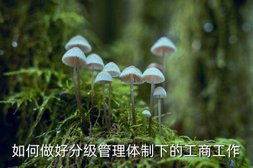 什么是分層分級(jí)管理，如何做好分級(jí)管理體制下的工商工作
