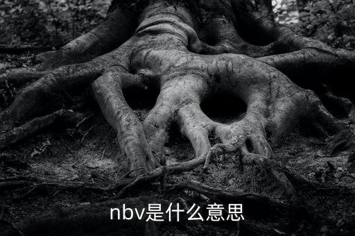 保險(xiǎn)nbv是什么意思，nbv是什么意思