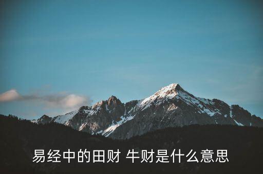 牛牛理財是什么意思，易經(jīng)中的田財 牛財是什么意思