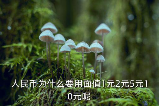 為什么人民幣面值，人民幣為什么要用面值1元2元5元10元呢
