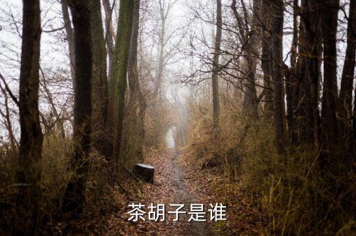 文惠卡是什么，是什么意思能詳細點嗎