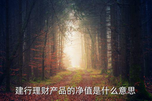 凈值類理財產(chǎn)品什么意思，什么是凈值型理財產(chǎn)品