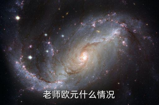 歐元國家是什么意思，老師歐元什么情況