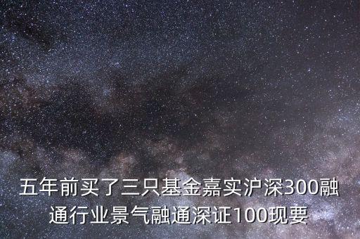 五年前買(mǎi)了三只基金嘉實(shí)滬深300融通行業(yè)景氣融通深證100現(xiàn)要