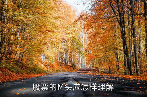 股票的M頭應怎樣理解