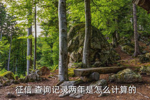 征信查詢(xún)次數(shù)怎么算,2020年的理財(cái)攻略