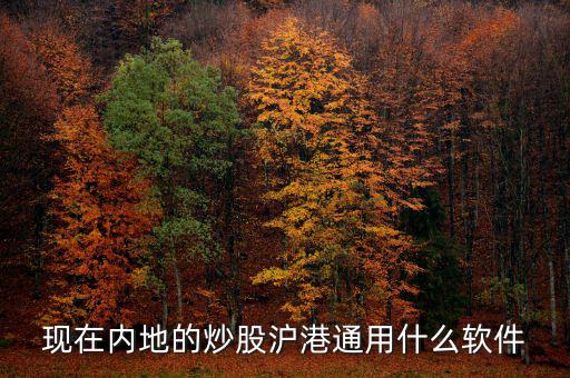 內(nèi)地炒港股用什么軟件，現(xiàn)在內(nèi)地的炒股滬港通用什么軟件