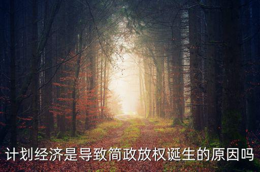 計劃經濟是導致簡政放權誕生的原因嗎
