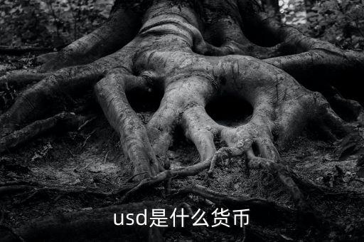 usd什么貨幣，什么是USD