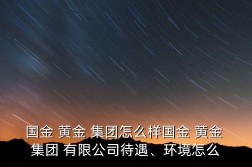 國(guó)金 黃金 集團(tuán)怎么樣國(guó)金 黃金 集團(tuán) 有限公司待遇、環(huán)境怎么