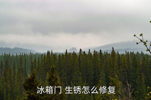  冰箱門(mén) 生銹怎么修復(fù)