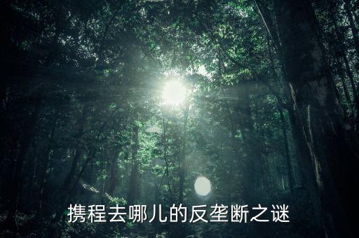 梁建章為什么離開攜程，攜程老板梁建章對(duì)公司的投訴難道只會(huì)說抱歉嗎這簡(jiǎn)直有死