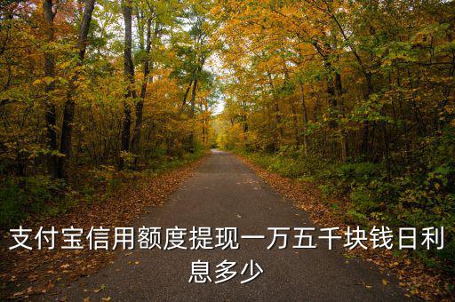 支付寶變現(xiàn)利率是什么，支付寶信用額度提現(xiàn)一萬(wàn)五千塊錢(qián)日利息多少