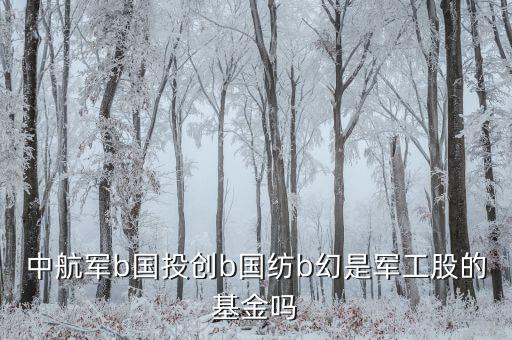 國(guó)創(chuàng)投b是什么基金，請(qǐng)教創(chuàng)業(yè)b是私募基金嗎屬于清盤對(duì)象嗎