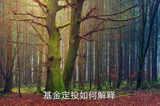 定投是什么，什么是定投基金